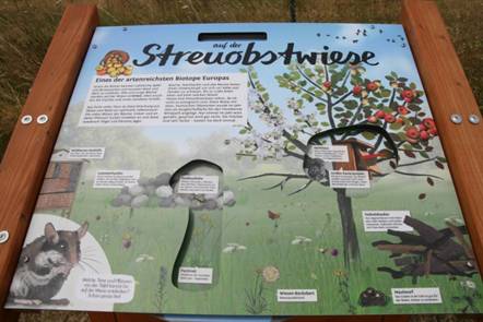 Streuobstwiese 2
